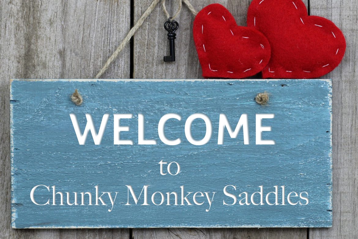 Welcome to Chunky Monkey Saddles